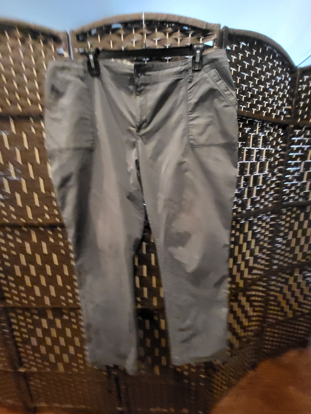 Eddie Bauer Gray Cargo Pants